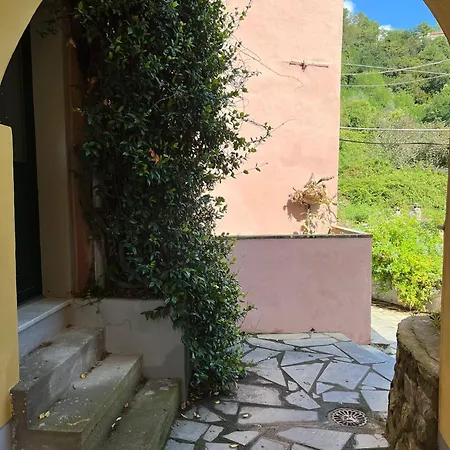 Casetta In Collina, * La Spezia