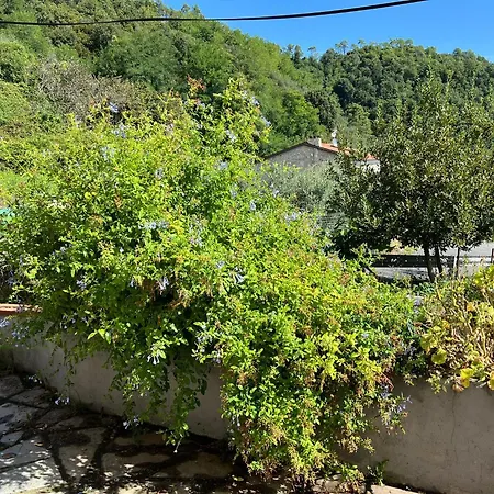 Casetta In Collina, Holiday home *